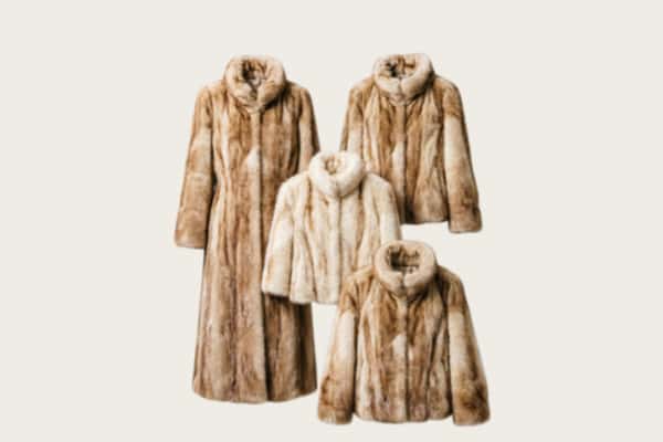 绵阳游仙区回收皮草衣服